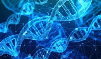 [덕후론_06] 덕후의 피에도 흐르는 생물학적 DNA와 사회적 DNA